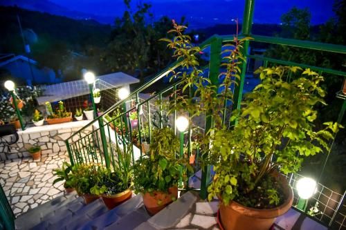 صورة الفندق 4