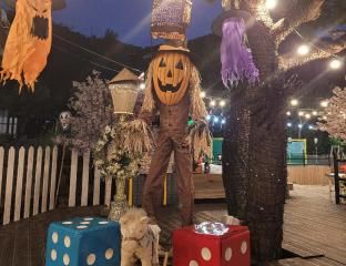 Hotel Photo 16