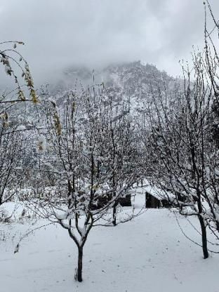 صورة الفندق 16