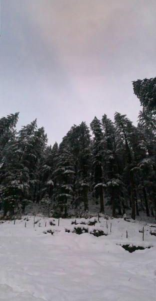 صورة الفندق 6