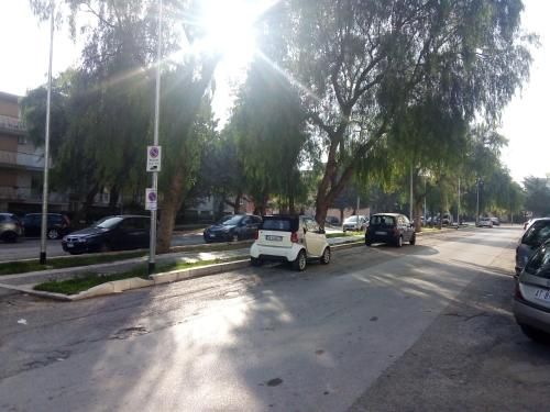 صورة الفندق 1