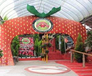 HomeSweetHome @ Palas Horizon 712 Cameron Highland Cameron Highlands Malaysia