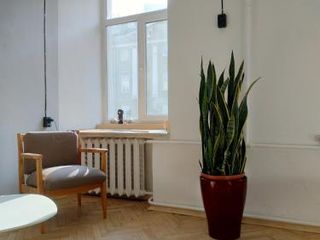 Apartment on Moika river 31