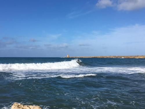 صورة الفندق 1