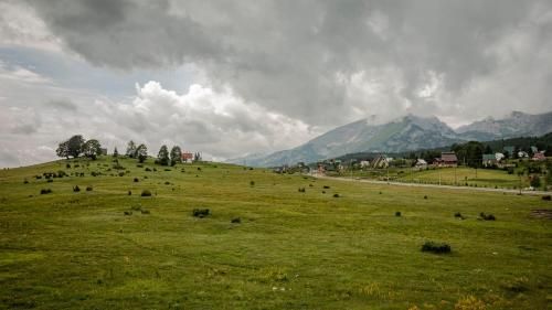 صورة الفندق 5