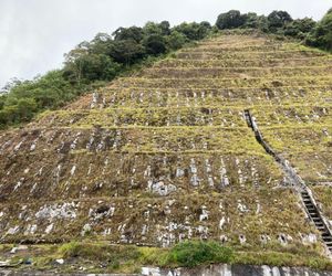 Mossy Homestay @ Palas Horizon Residence (843sf B) Cameron Highlands Malaysia