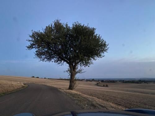 صورة الفندق 14