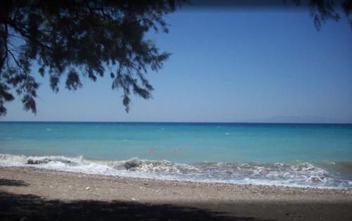 صورة الفندق 13