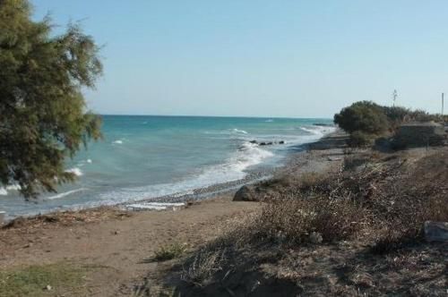 صورة الفندق 9