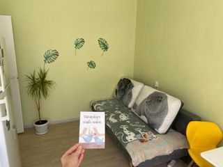 Квартирка Петроградский садик