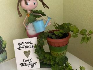 Квартирка Петроградский садик