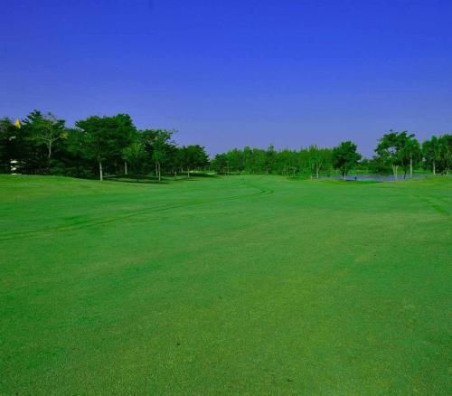 صورة الفندق 8