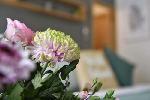 صورة الفندق 17
