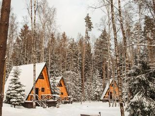 Глэмпинг парк Пасторское озеро