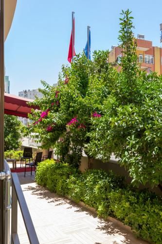 Hotel Photo 23