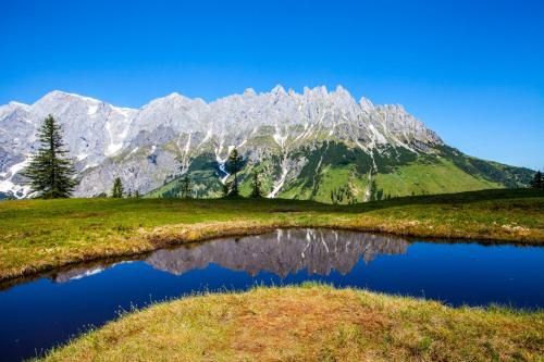 صورة الفندق 10