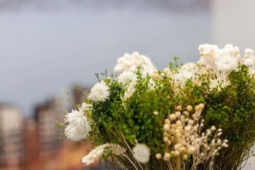صورة الفندق 14
