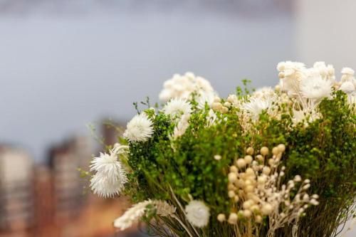 صورة الفندق 21