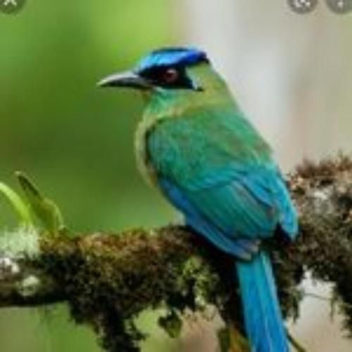 صورة الفندق 5