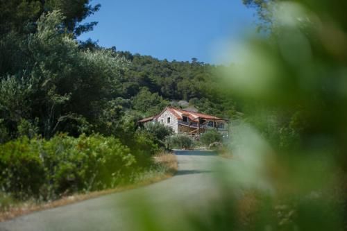 صورة الفندق 1