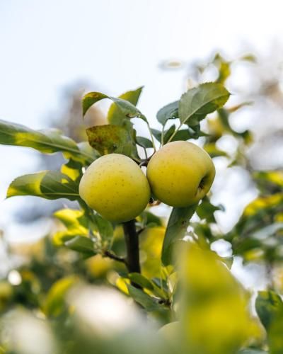 صورة الفندق 9
