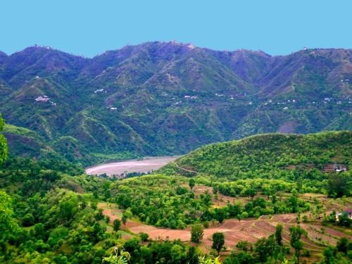 صورة الفندق 6