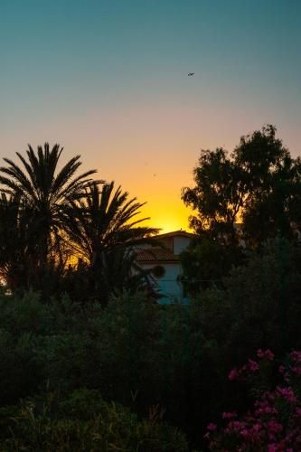 صورة الفندق 23