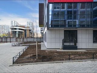 Студия на Васильевском