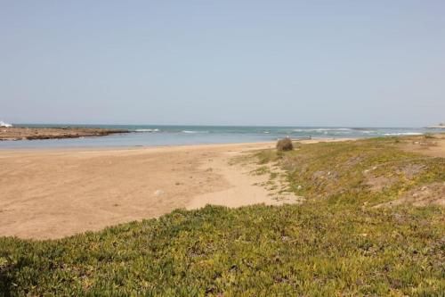 صورة الفندق 24