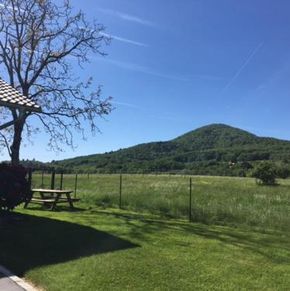 NearBy Hotel
