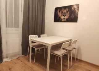Nice apart in Kolpino