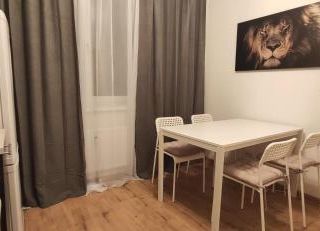 Nice apart in Kolpino