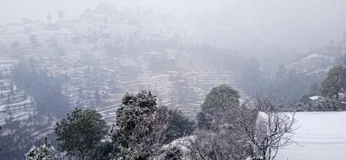 صورة الفندق 3