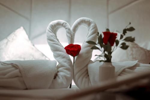 صورة الفندق 18