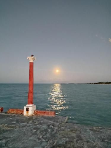 صورة الفندق 7