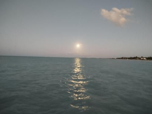 صورة الفندق 8