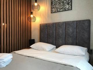 Стильные апартаменты Две Подушки в Елагин-апарт