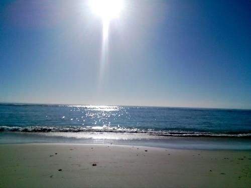 صورة الفندق 11