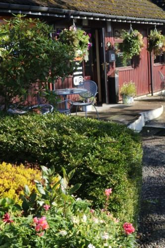 Hotel Photo 15