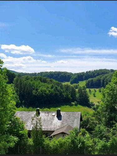 Odenwald-Lodge mit Infrarotsauna und E-Ladestation im Naturpark Odenwald “Haus Himmelblau”