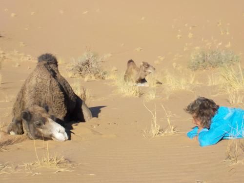 صورة الفندق 4