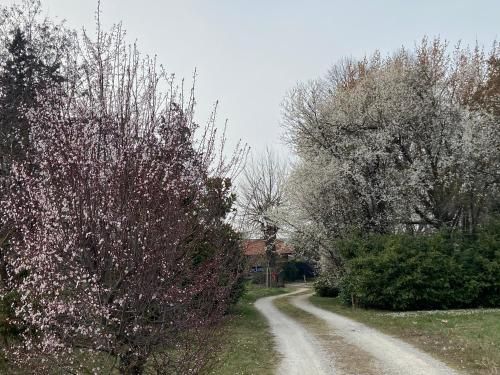 صورة الفندق 6