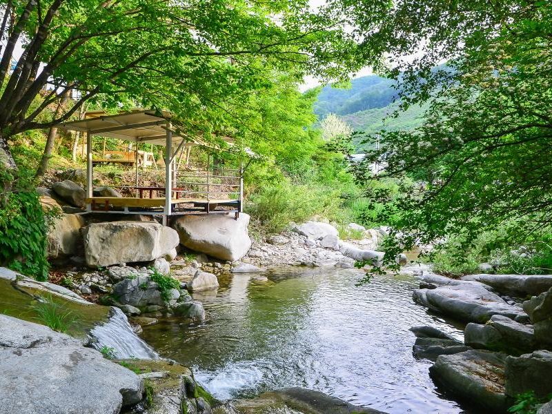 صورة الفندق 1