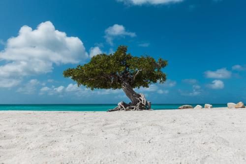 صورة الفندق 4