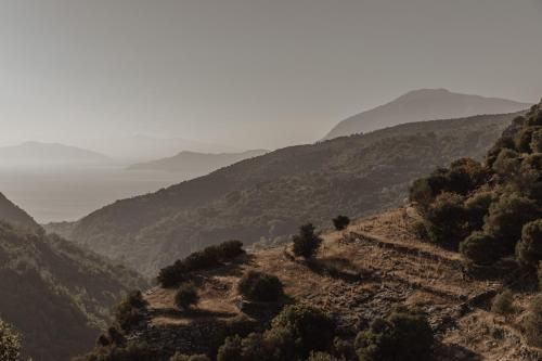 صورة الفندق 4