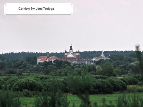 صورة الفندق 10