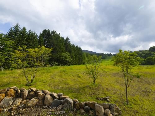 صورة الفندق 7