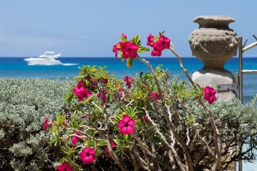صورة الفندق 23