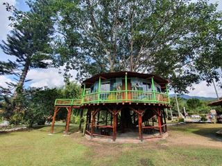 Hotel pic Room in Lodge - Tree House Finca La Floresta Verde