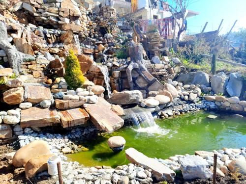 صورة الفندق 7